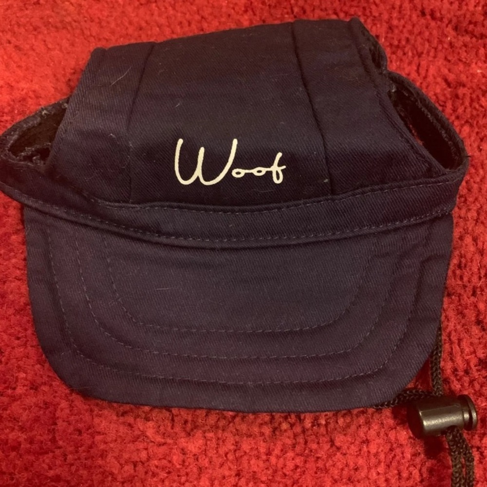 Dog Hat